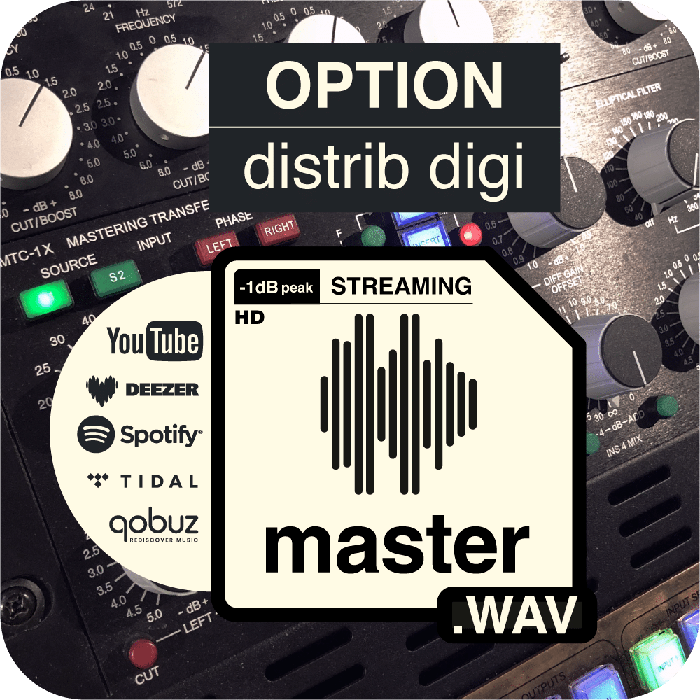 Mastering format streaming options distribution digital